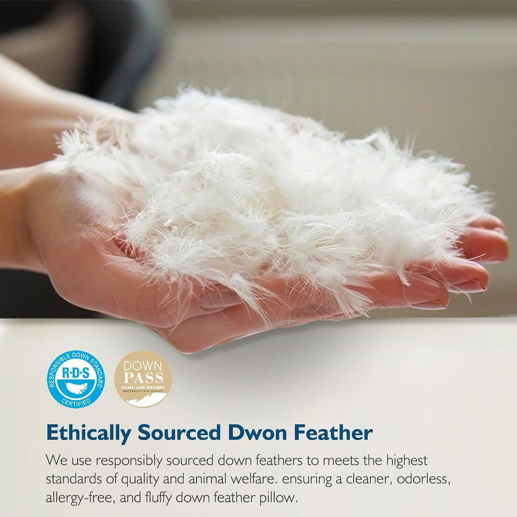 Ergonomic Memory Foam Hypoallergenic 3‑Chamber Goose Feather Down Core Bed Pillows, Standard Size Set of 2, With Microfiber Surround, Soft-... - Orthopedic Shredded Foam Bed Pillow Set Detail