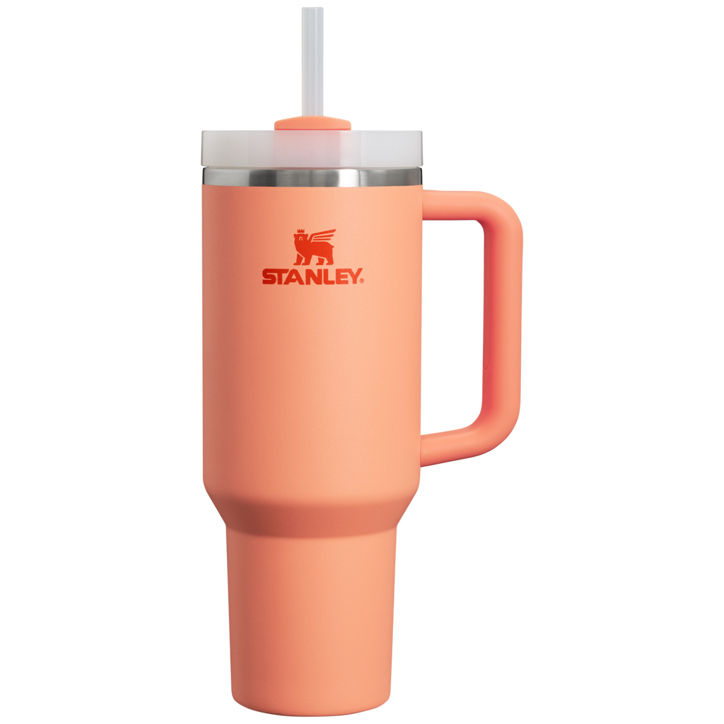 Car-Cup Friendly The Quencher H2.0 Flowstate Tumbler D050X - Double-Wall Vacuum Insulated Travel Tumbler with Straw Detail