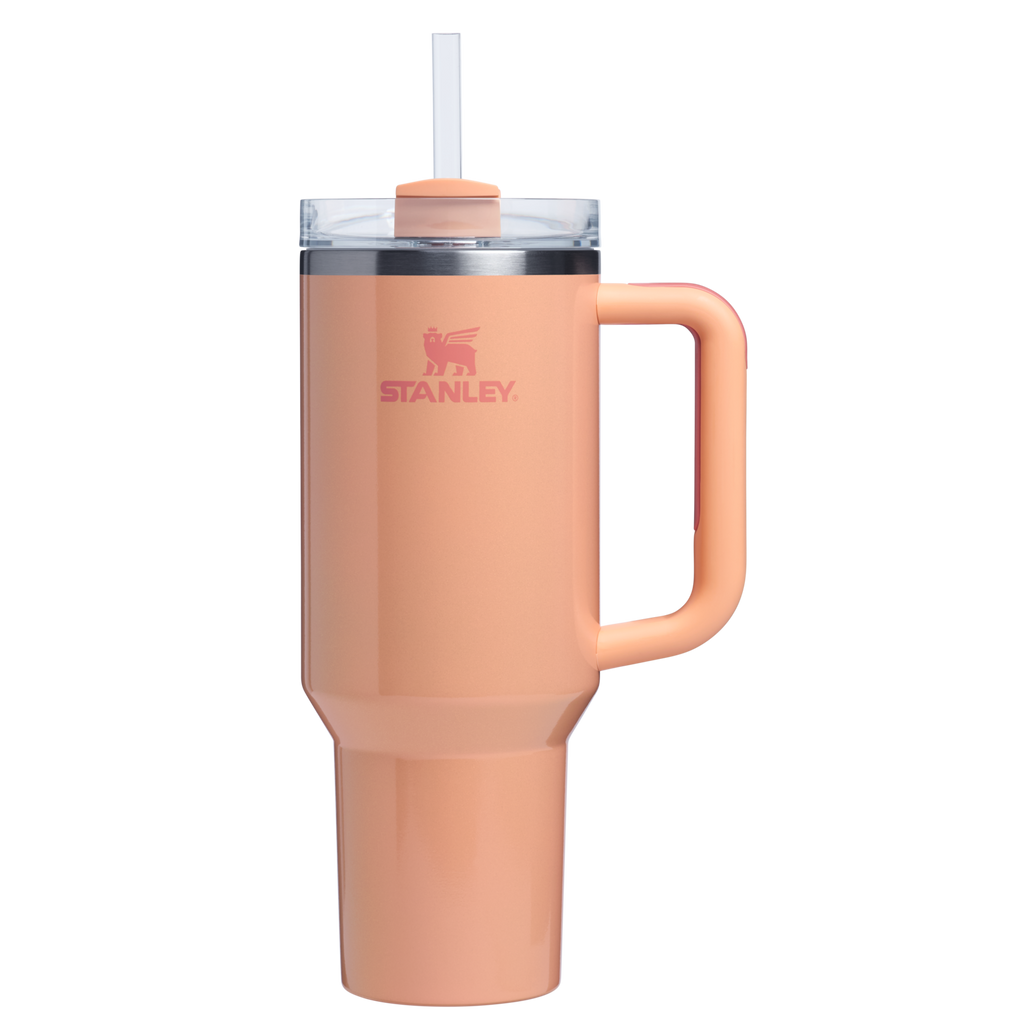 Car-Cup Friendly The Quencher H2.0 Flowstate Tumbler D050X - Double-Wall Vacuum Insulated Travel Tumbler with Straw Detail