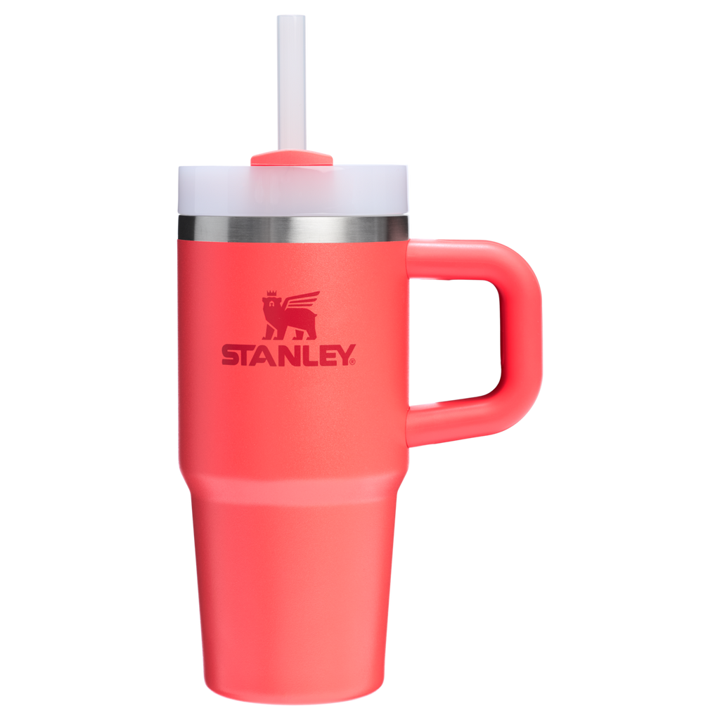 Insulated Travel The Quencher H2.O Flowstate Tumbler | Stanley Create D291F - Double-Wall Vacuum Insulated Travel Tumbler with Straw Detail
