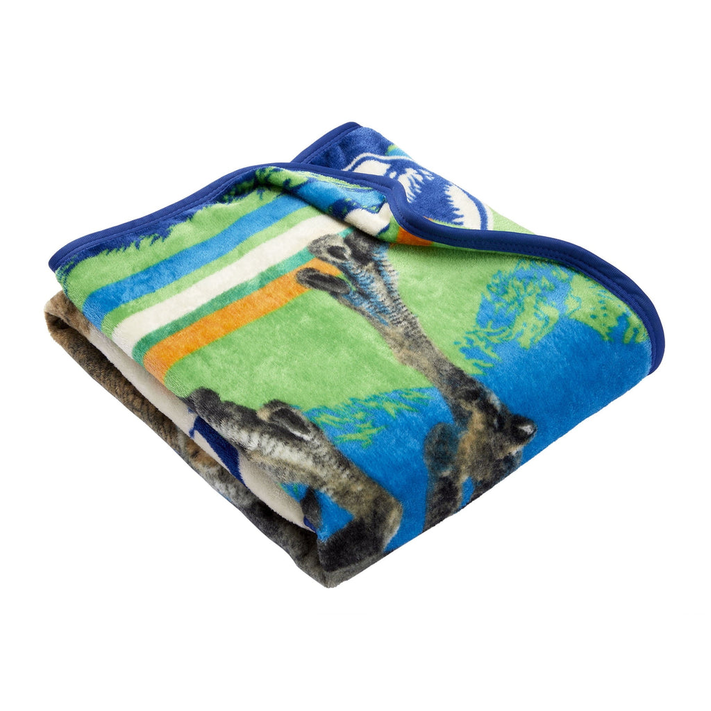 Super Soft Flannel Kids Silky Soft Plush Throw Blanket, 40" x 50" - Lightweight Plush Warm Blanket for All Seasons Detail